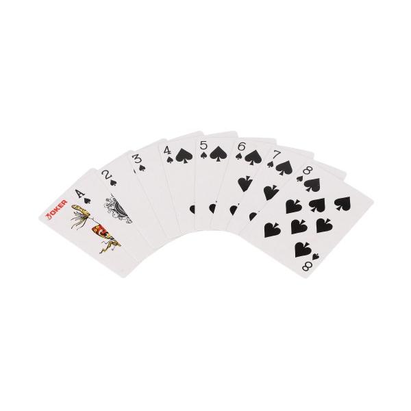 Poker sada 100ks + karty a kostky, v kufříku, 28x25x8cm (obrázek 9)