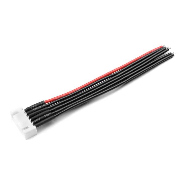 Cavo di bilanciamento 5S-XH maschio 22AWG 10cm