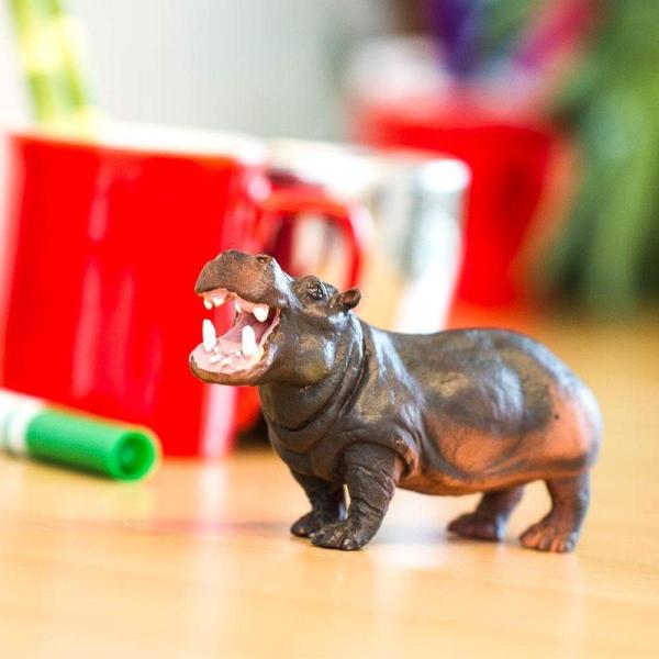 Safari® Hroch obojživelný (obrázek 6)