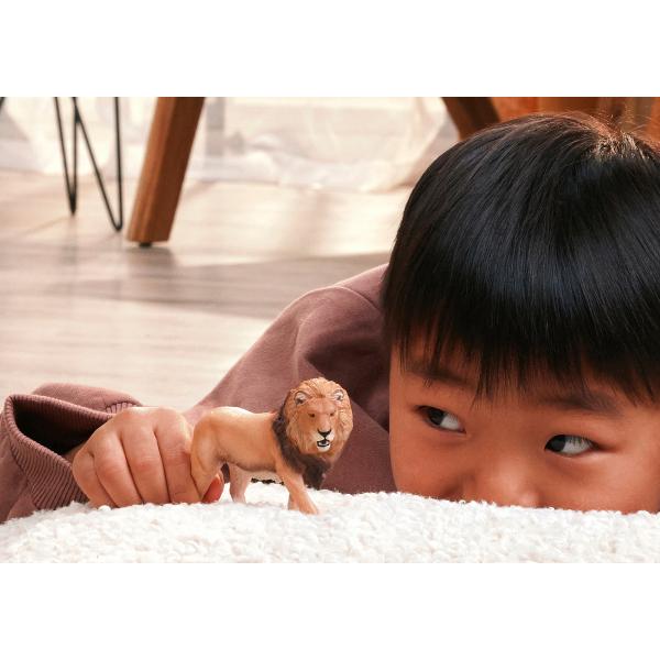 Schleich Zvířátko - lev africký (obrázek 5)