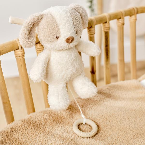 NATTOU Hračka plyšová hudební Teddy pejsek 24 cm