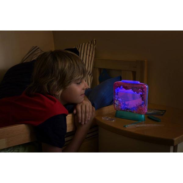 Vodní dráčci v akváriu s indikátorem teploty vody (obrázek 5)