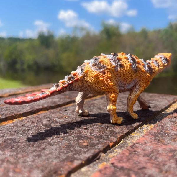 Safari® Stegouros dinosaurus (obrázek 5)