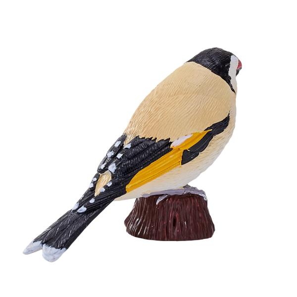 Moje Stehlík obecný (obrázek 4)