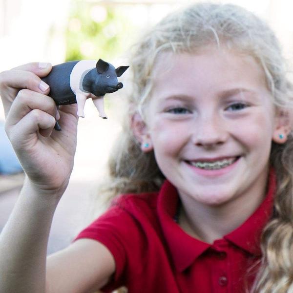 Safari® Prase Hampshire (obrázek 4)