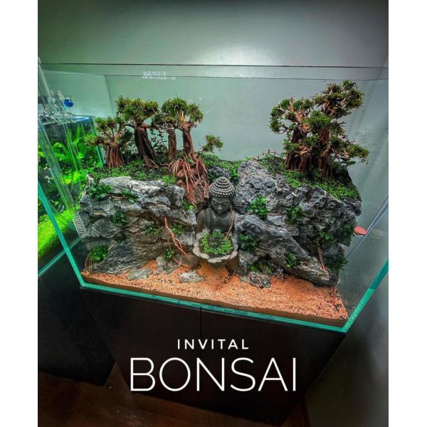 Bonsai Driftwood 40 x 30 x 33 cm č. 100