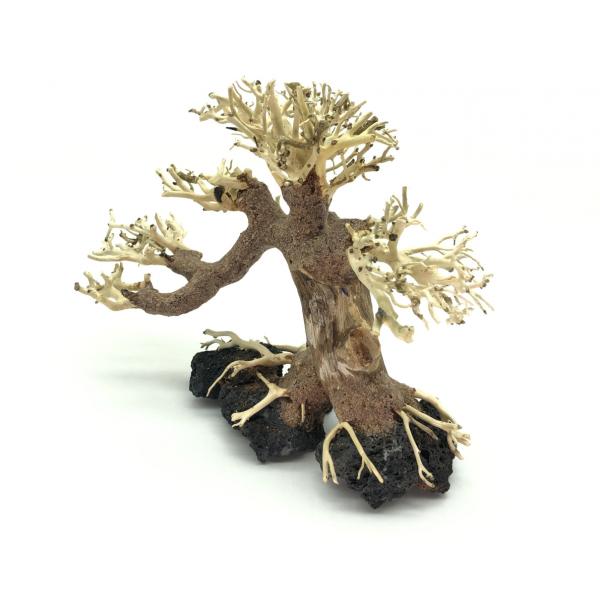 Bonsai Driftwood 20 x 15 x 16 cm č. 28