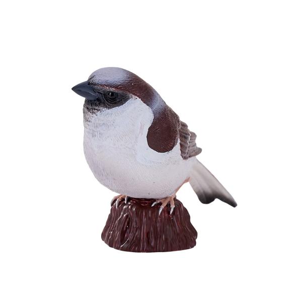 Můj Vrabec domácí