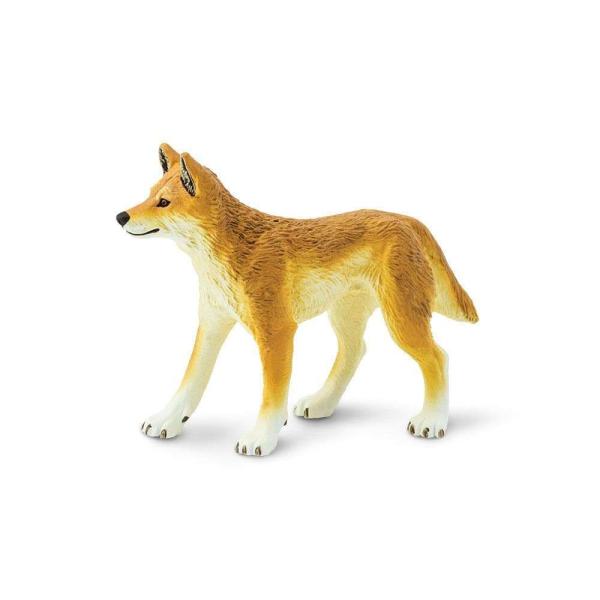 Safari® Dingo