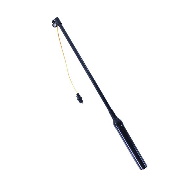 Lampion kostra 25 cm se svítící hůlkou 39 cm (obrázek 3)
