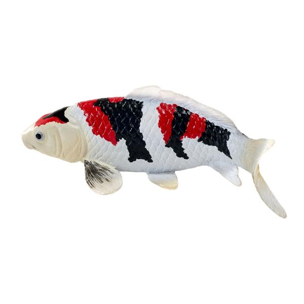 Moje Kapr koi showa sanshoku (obrázek 4)