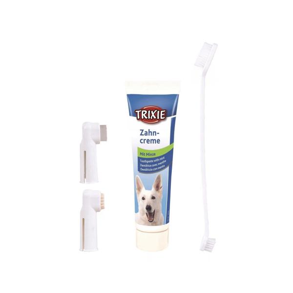 Sada pro dentální hygienu pro psy (1/24)