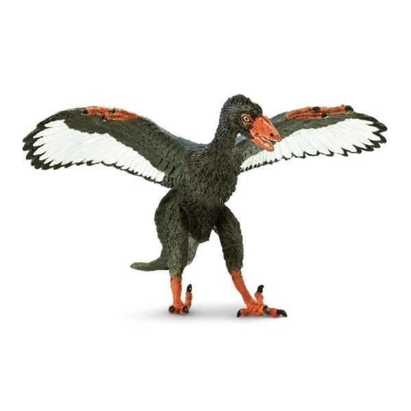 Safari® Archaeopteryx dinosaurus