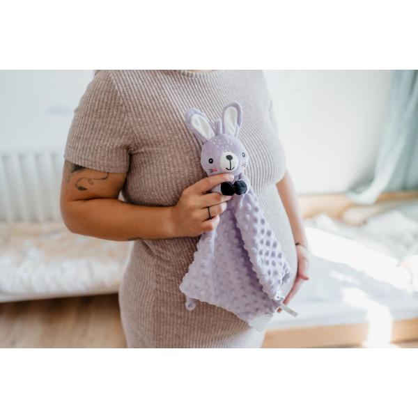 Zajíček babyted, uspávaček, kousátko, chrastítko plyš 25x25cm (obrázek 9)