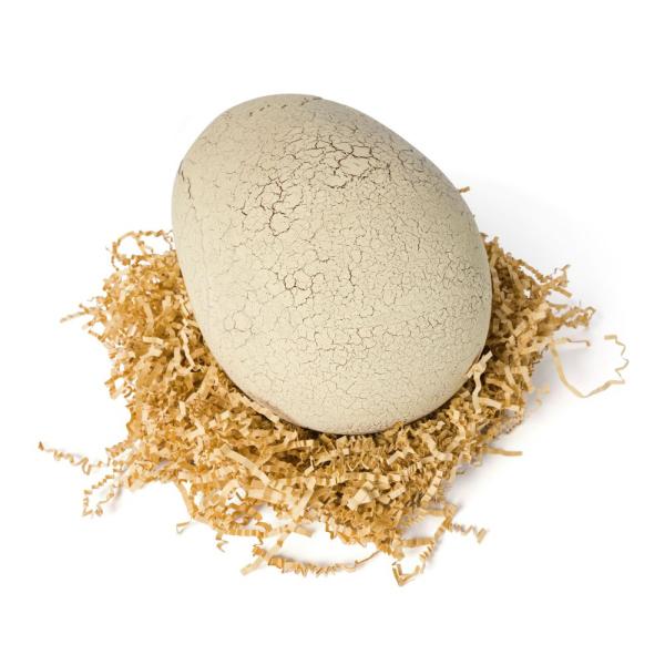 Dino interaktivní T-rex líhnoucí se z vajíčka