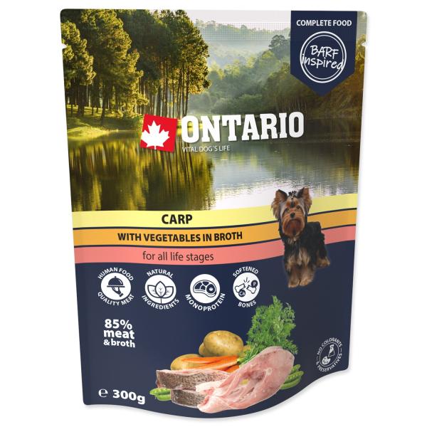 Kapsička Ontario kapr se zeleninou ve vývaru 300g