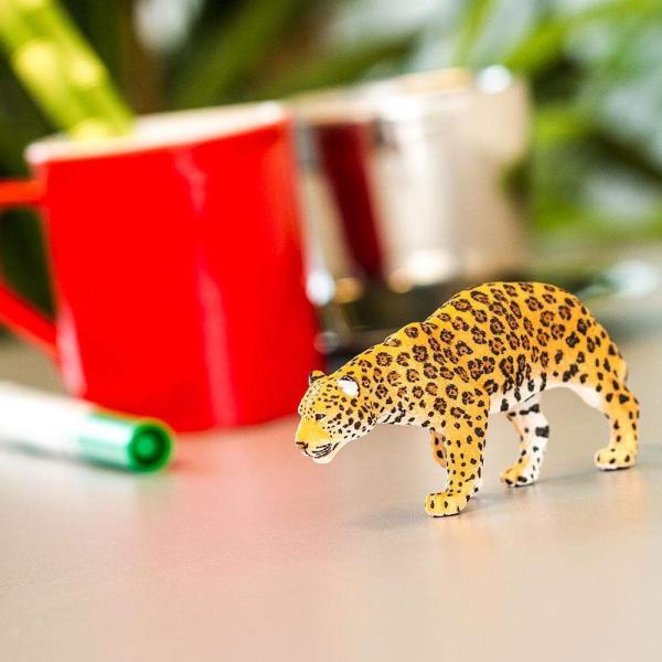 Safari® Jaguar (obrázek 8)