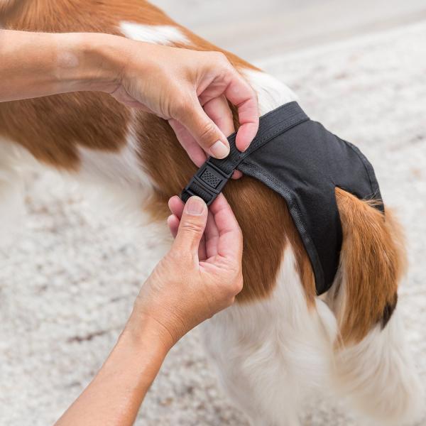 Kalhotky Trixie hárací DeLuxe 20-25cm, XS