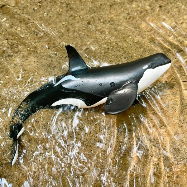Safari® Orca typ D (obrázek 7)