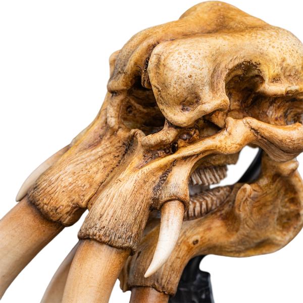 Weta Workshop Pán prstenů: Miniaturní lebka Mumaka (obrázek 5)