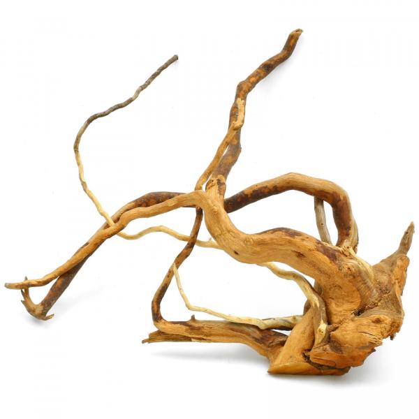 Koreň Red Moor wood XXL (>1,1 kg)