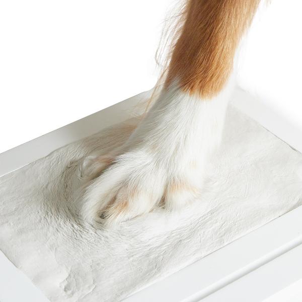 Bieco - Sada otisků se třemi rámečky (obrázek 5)