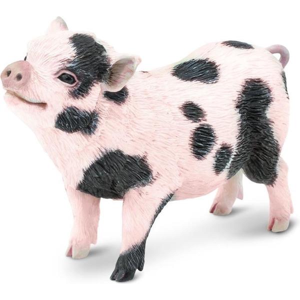 Safari® Všetečné prasa