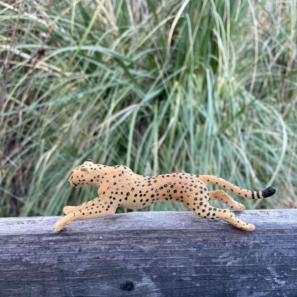 Safari® Běžící gepard (obrázek 6)