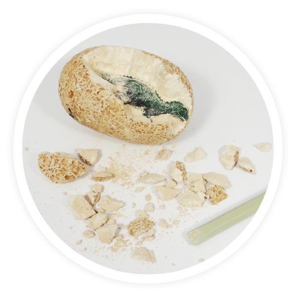 Dinosauří vejce (D6O)