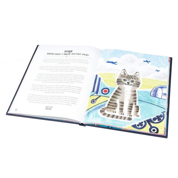 Kočky v akci! – Nevídané kočičí příběhy