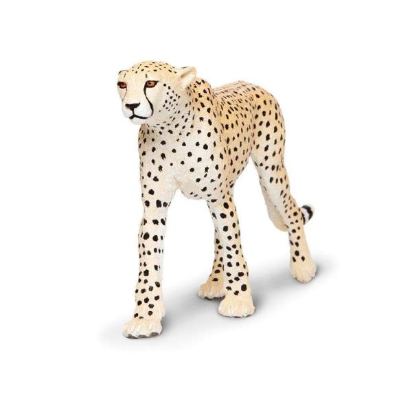 Safari® Gepard