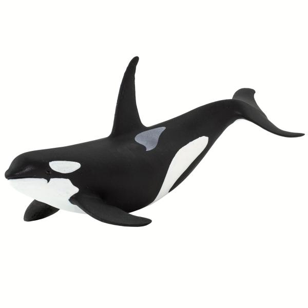 Safari® Orca (obrázek 5)