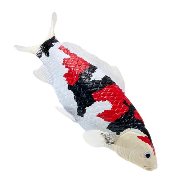 Moje Kapr koi showa sanshoku