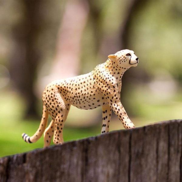 Safari® Gepard (obrázek 5)