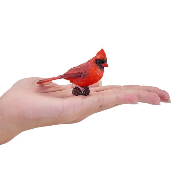 Můj Kardinál červený