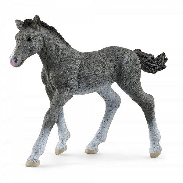 Schleich Hříbě koně trakénského