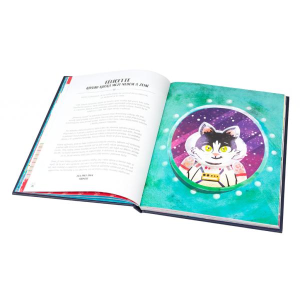 Kočky v akci! – Nevídané kočičí příběhy