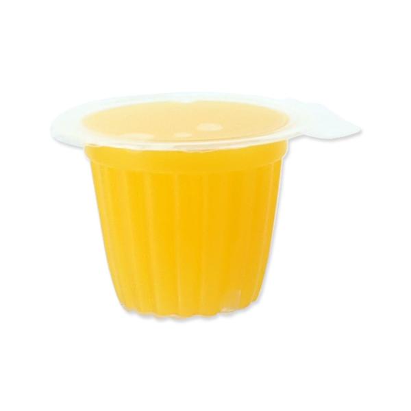 Krmivo Repti Planet Jelly Pots Fruit 8ks (obrázek 3)
