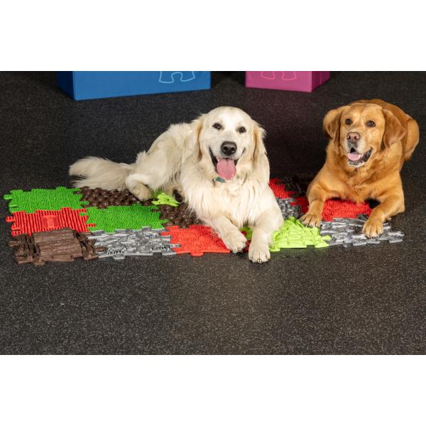 Muffik set ortopedických podložek - pro psy (obrázek 3)