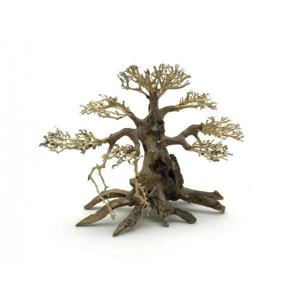 Bonsai Driftwood 40 x 30 x 33 cm No.100
