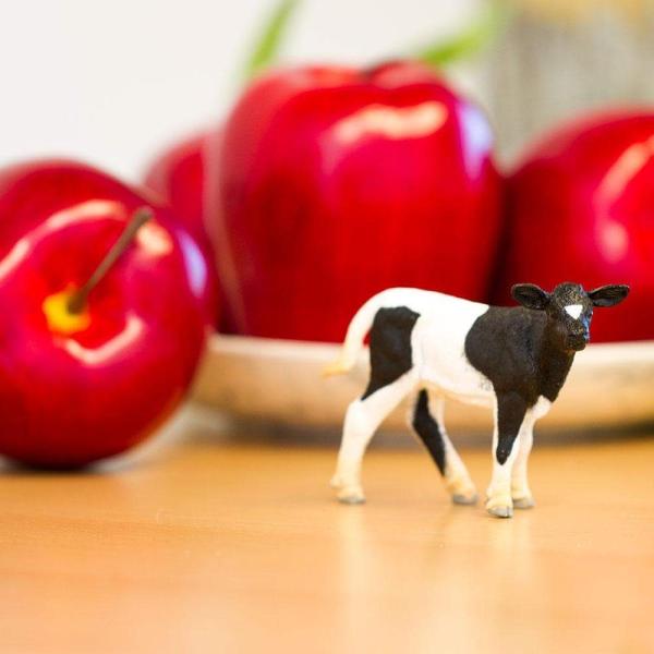 Safari® Tele Holstein (obrázek 4)