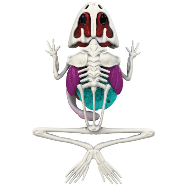 Objevuj Pitva Žába