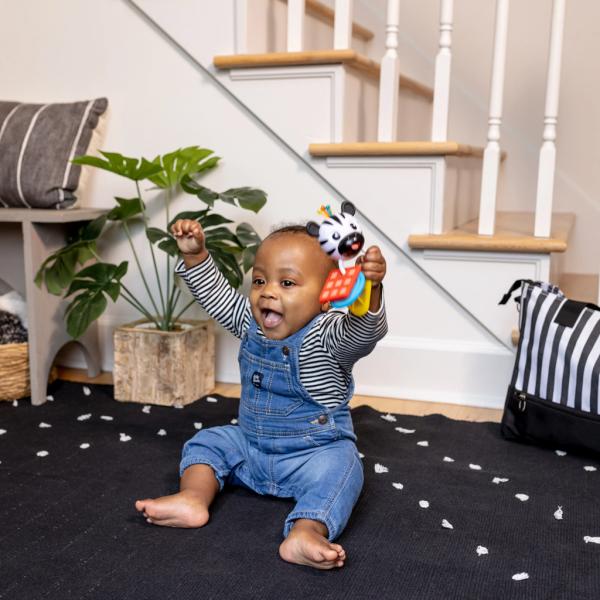 BABY EINSTEIN Kousátko s chrastítkem zebra Zen™ Shake-a-Shape bez BPA 0m+ (obrázek 4)