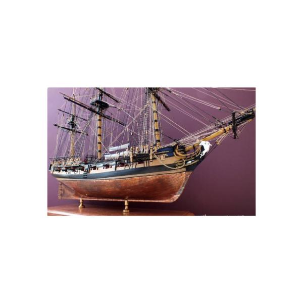 VICTORY MODELS H.M.S Pegasus 1776 1:64 kit (obrázek 7)