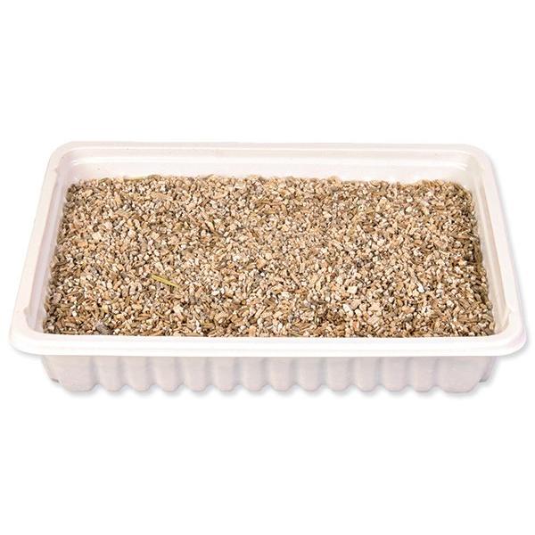 Tráva Trixie pro kočky sáček 100g