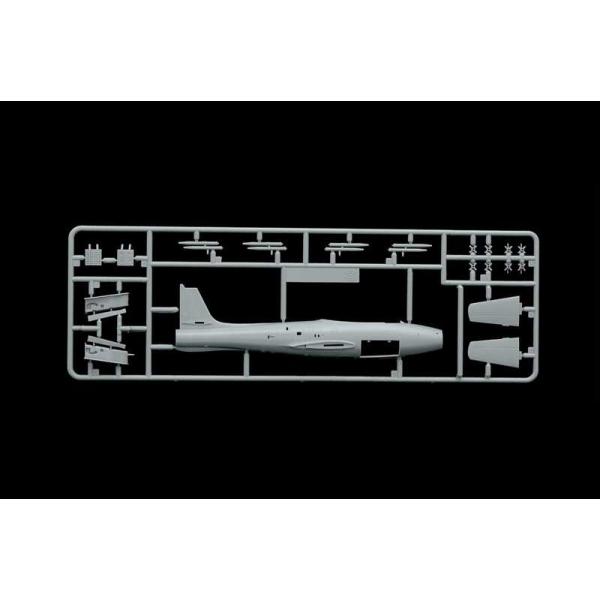 Model Kit letadlo 1321 - F/84G THUNDERJET(1:72) (obrázek 10)