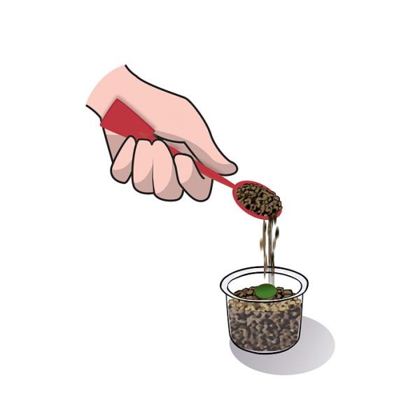 VĚDA - Hydroponická botanika (obrázek 5)