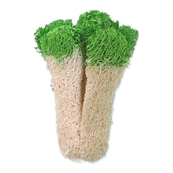 Hračka Small Animals food mrkev a brokolice 2ks (obrázek 3)