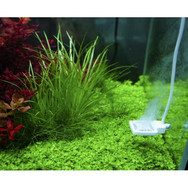 Chihirova membrána Doktor Mate