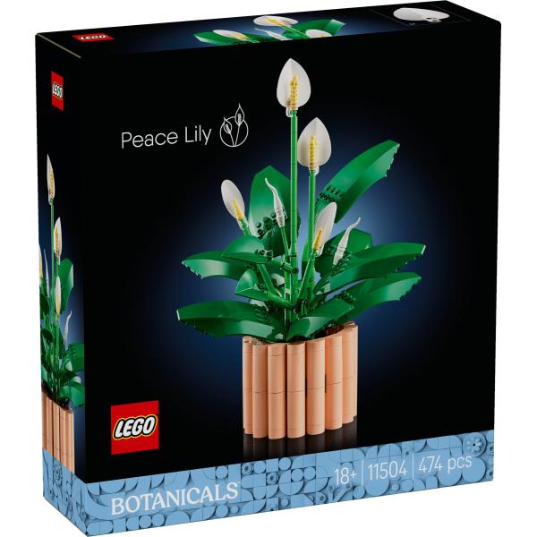 LEGO® Botanicals 11504 Toulcovka (obrázek 3)